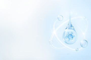 🌟新品登場🌟